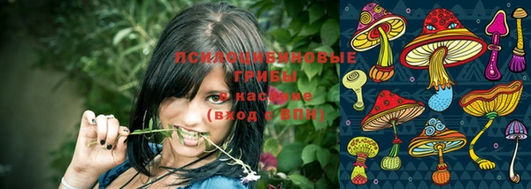 мет Баксан